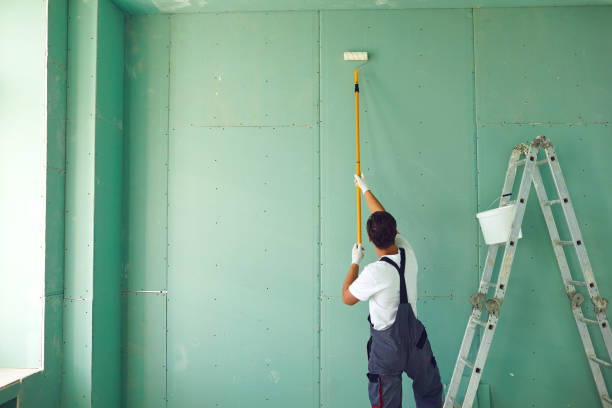 Mold Odor Removal Services in Oak View, CA