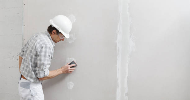 Environmental Consulting for Mold Prevention in Oak View, CA