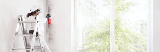 Mold Remediation for Vacation Homes in Oak View, CA